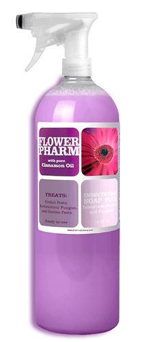 Flower Pharm