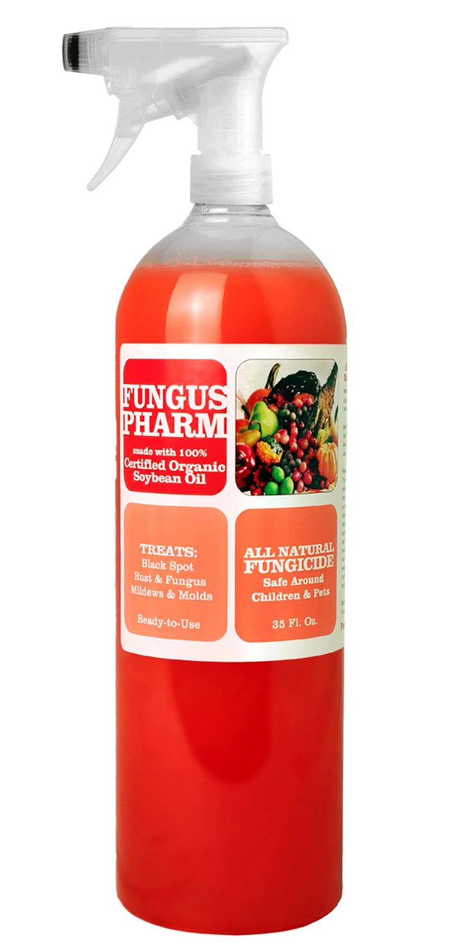 Fungus Pharm