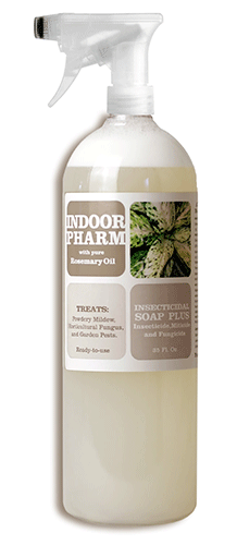 Indoor Pharm