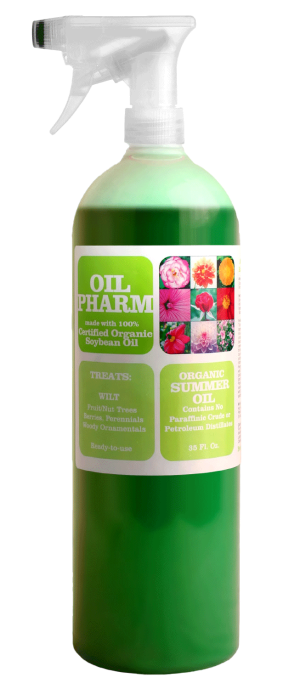 Oil Pharm